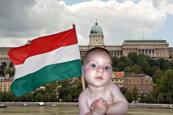 Creation of baby turist: Step 2